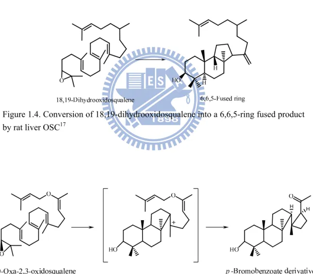 Figure 1.4. Conversion of 18,19-dihydrooxidosqualene into a 6,6,5-ring fused product  by rat liver OSC 17