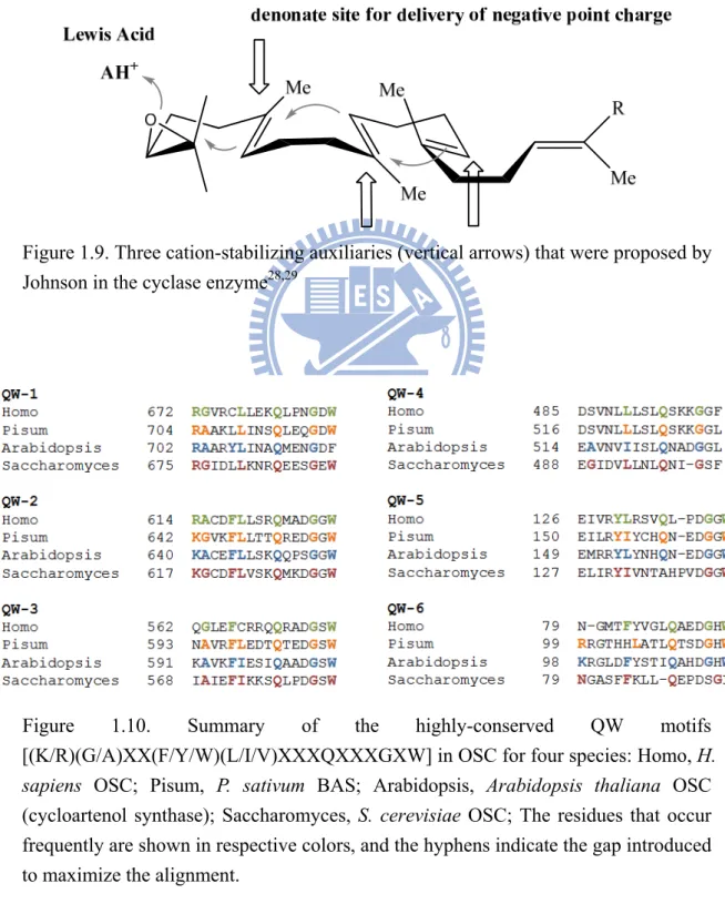 Figure 1.9. Three cation-stabilizing auxiliaries (vertical arrows) that were proposed by  Johnson in the cyclase enzyme 28,29
