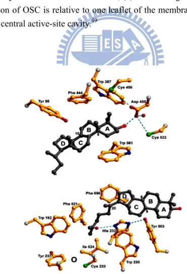 Figure 1.15. Local view of crystal structure of human OSC 49 . 