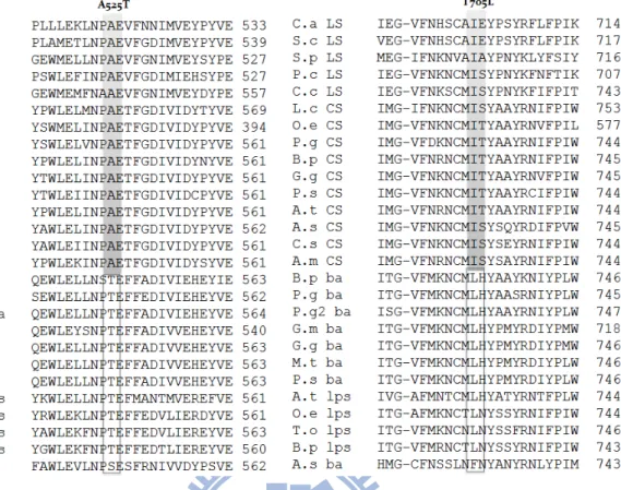 Figure 3.4. Alignment of multiple amino acid sequences for screening the putative  residues involved in the product specificity/diversity