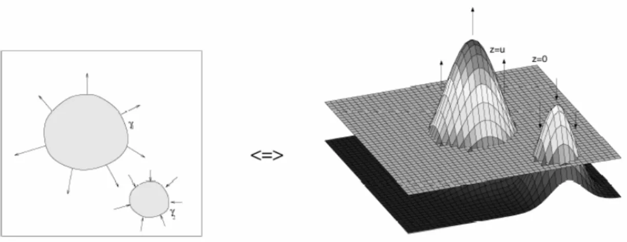 Fig 4.3 Level set representation 