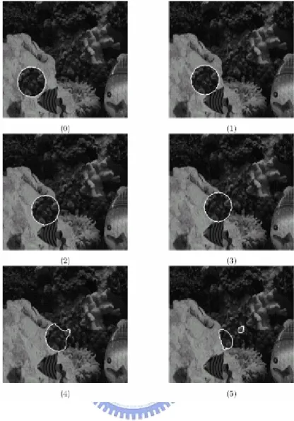 Fig 4.4 The camouflage synthetic sequence 