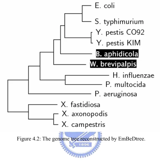Figure 4.2: The genome tree reconstructed by EmBeDtree. 