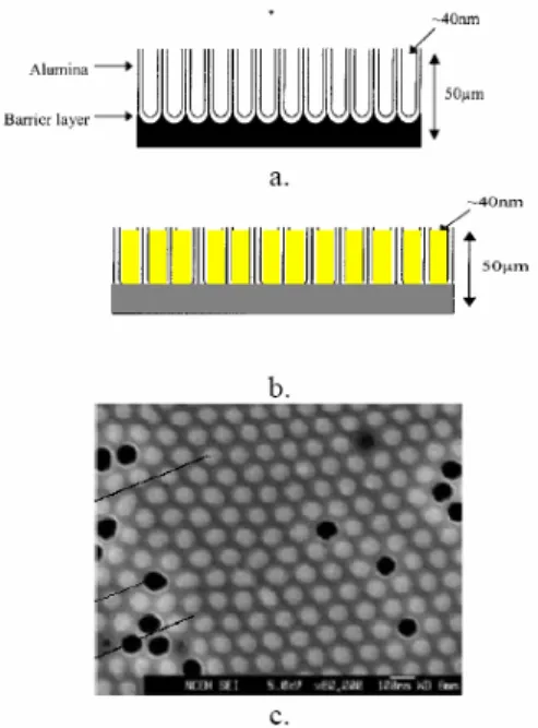 Fig. 1-2-2 (a) Cross-section of Alumina template, unfilled. (b) Alumina template,  filled with newly created nanowires