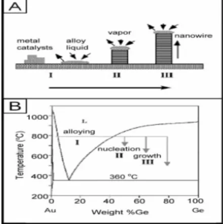 Fig. 2-1-1 (A) Schematic illustration showing  the growth of a nanowire via the VLS  mechanism