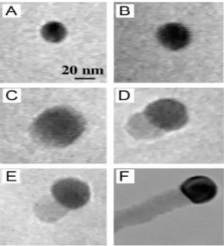 Figure 2-1-2 The birth of a Ge nanowire on a Au  nanocluster, as observed using in-situ TEM