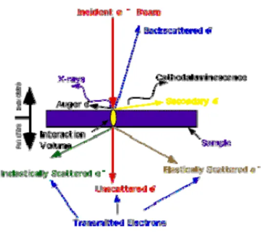 Fig. 2-2-1 E iques 