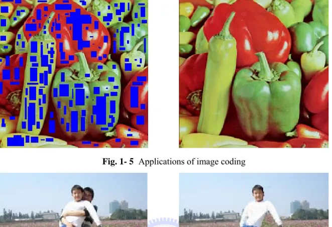 Fig. 1- 5  Applications of image coding 