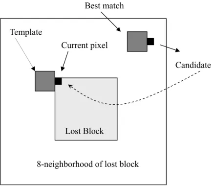 Fig. 2- 7  Texture Synthesis Procedure 
