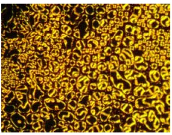 Fig. 6. Polarizing optical micrograph of polymer P1: nematic droplet  texture obtained at 150 ℃ 0 60.81.0.)  UV∥ UV⊥ PL∥ PL⊥
