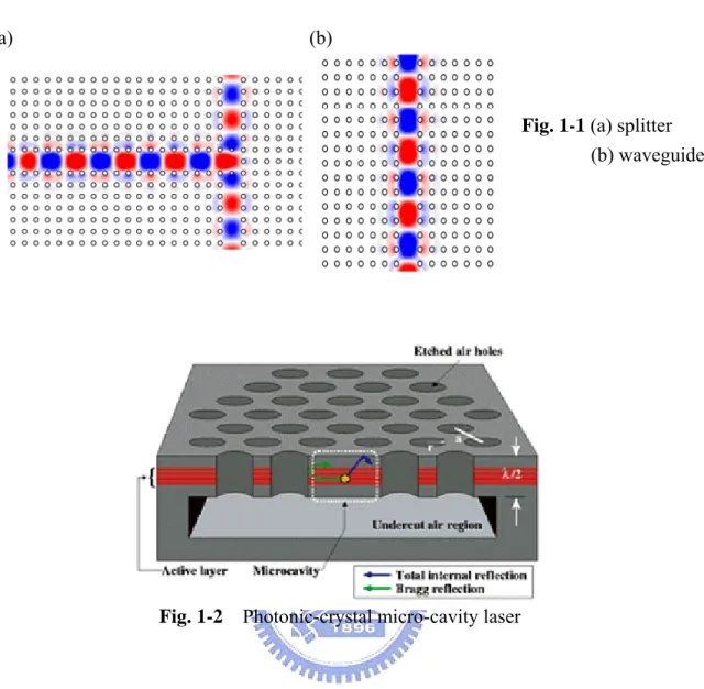 Fig. 1-1 (a) splitter    (b) waveguide 