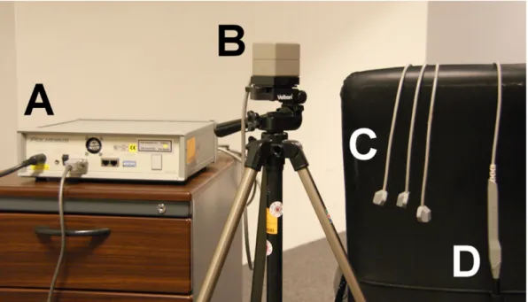 Figure 6. 3D digitizer system. The 3D digitizer (Fastrak®, Polhemus) was  used to measure 3D positions