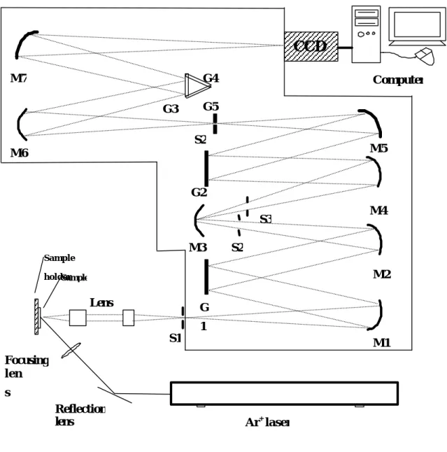 Fig. 3-2     Raman detection system