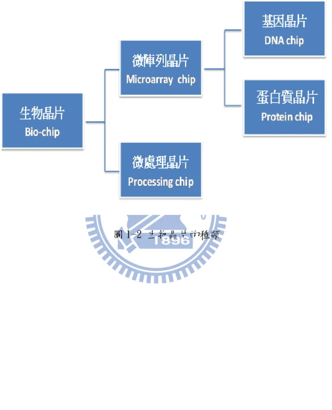 圖 1-2 生物晶片的種類 
