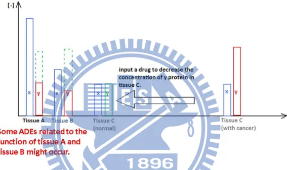 Figure 1.2: Initially, we want to regulate tissue C by inputting an anti-cancer drug. The  function of the anti-cancer drug inhibits the protein y in tissue C