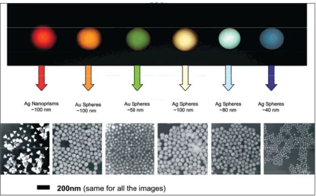 Figure 1.1 Sizes, shapes, and compositions of metal nanoparticles can be systematically varied to  produce materials with distinct light-scattering properties [10] 