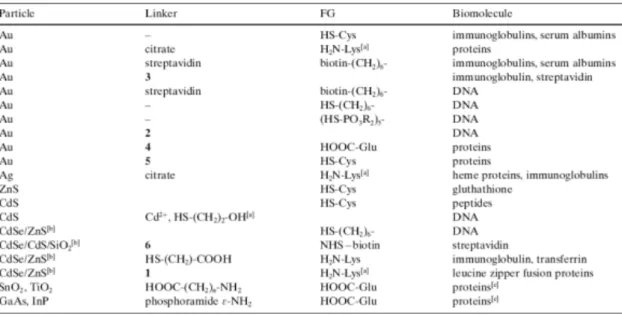 Table 2.1 Inorganic nanoparticles couple with biomolecules [50] . 