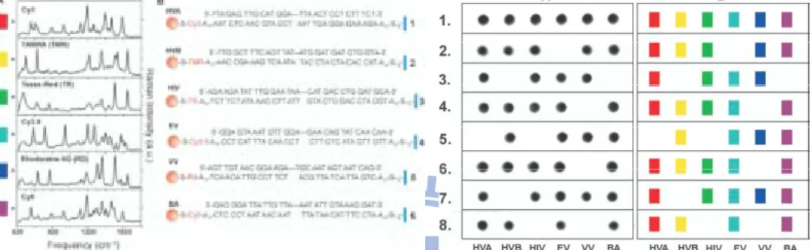 Figure 2.12 The Raman spectra of six dye-labeled nanoparticle probes after Ag enhancing on a chip  (after background subtraction)
