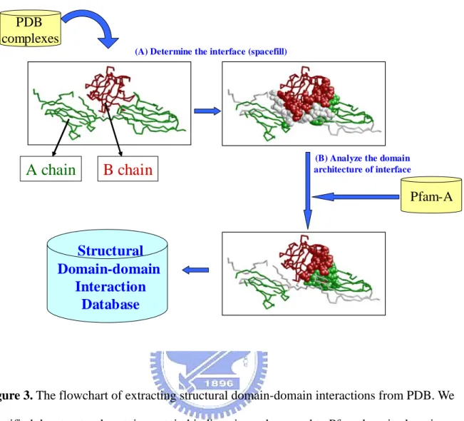 Figure 3. The flowchart of extracting structural domain-domain interactions from PDB. We  identified the structural protein-protein binding site and mapped to Pfam domain-domain  interactions