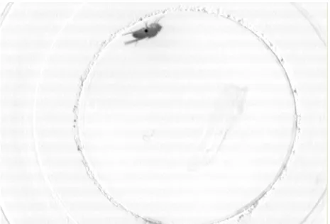 Fig. 3-12 after division for day image 