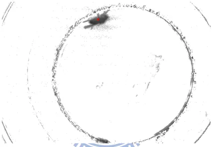 Fig. 3-16 Day image using subtraction 