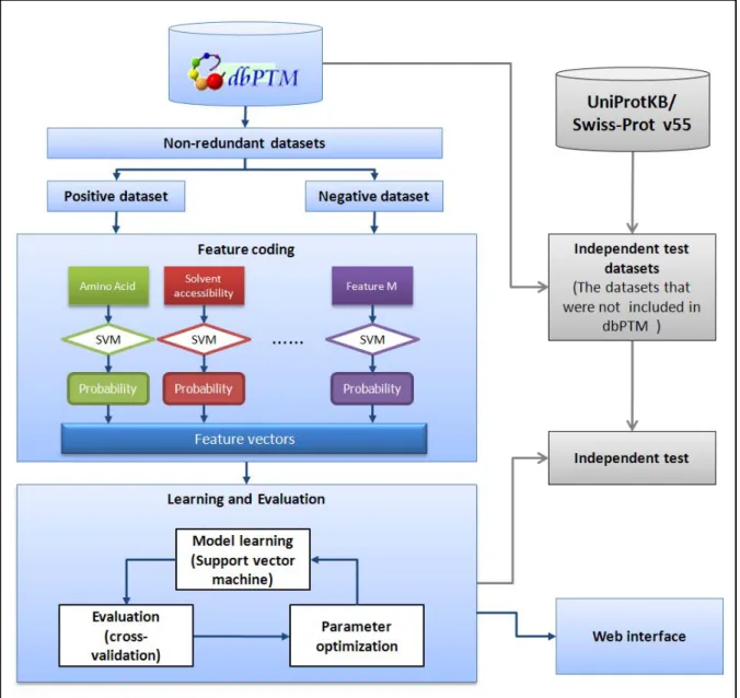 Figure 3.1 System flow of N-Ace. 