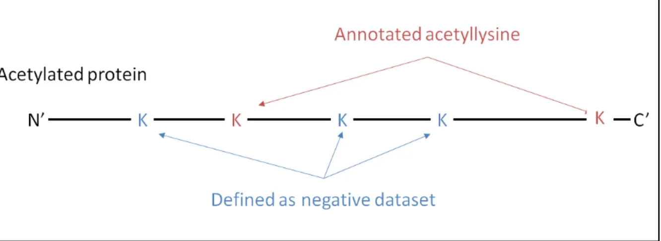 Figure 3.2 Defining the positive dataset and negative dataset. 