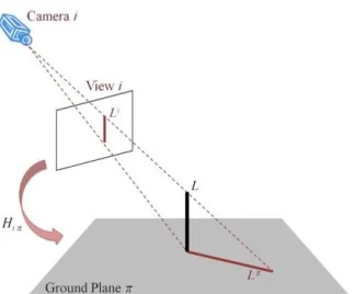 Figure 2.4 Geometrical relationship between lines on image and on ground. 