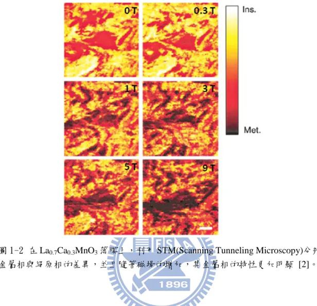 圖 1-2 在 La 0.7 Ca 0.3 MnO 3 薄膜上，利用 STM(Scanning Tunneling Microscopy)分辨 金屬相與絕原相的差異，並且隨著磁場的增加，其金屬相的特性更加明顯  [2]。     然而，在這些不同相的微小區域裡，它們的物理特性是非常不同 的，而各自的能隙以及載子動力弛緩行為也應有很大的差異，這也是 我們非常想探討的。而光激發探測系統則是研究這類行為的最佳利 器，但要如何在幾十奈米間做光激發探測研究呢?在 2004 年，Imura,K 利用近場光學系統結合光激