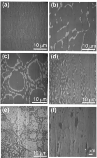 FIG. 2.4. The hillocks formed in the alloy, which has different Sn, Pb  composition, stressed at 10 5  A/cm 2  for 40 h (a) pure Sn; (b)  Sn 80 Pb 20 ; (c) Sn 70 Pb 30 ; (d) eutectic Sn 63 Pb 37 ; (e) Sn 40 Pb 60 ; (a)  Sn 5 Pb 95 