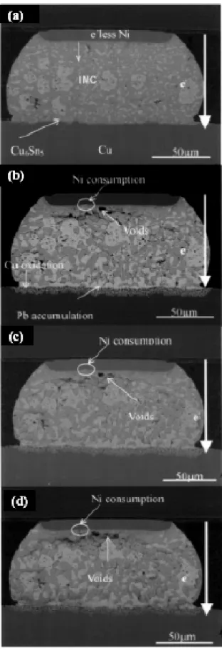 FIG. 2.5. Cross-sectional-view of SEM images of eutectic SnPb solder  bumps stressed under the current of 1.5 Amp and 120℃