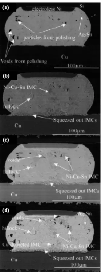 FIG. 2.6. SEM images of the cross-sectional view of Sn3.8Ag0.7Cu  solder bumps stressed under the current of 1.5 Amp and 120℃