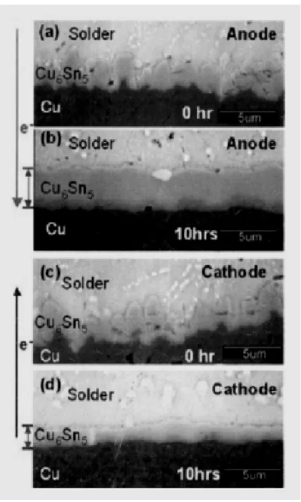 FIG. 2.9. The intermetallic compound formed at the cathode side and the  anode side after stressing at 5.7 × 10 4  A/cm 2  at 180℃ (a) o h at  anode side; (b) 10 h at anode side; (c) o h at the cathode side; (d)  o h at cathode