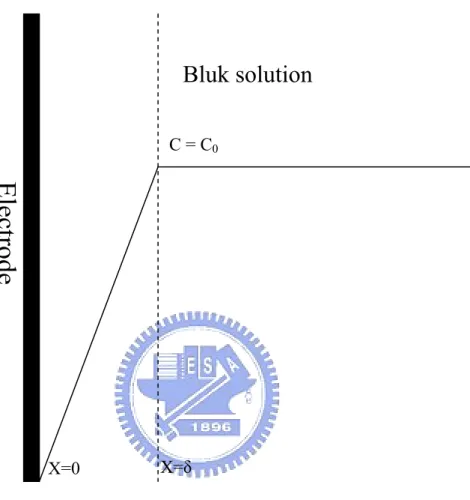 Figure 2. The Nernst diffusion layer 