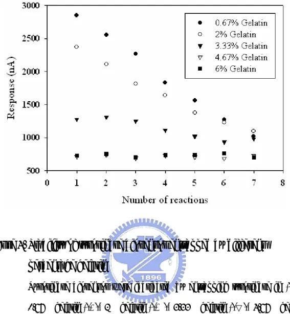 Figure 4. Stability of tyrosinase biosensor entrapped by different      percentage gelatin 
