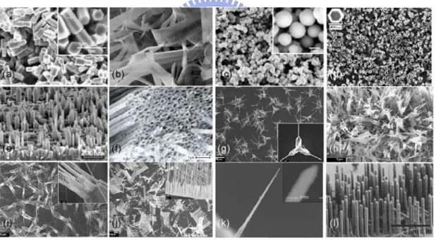 Figure 1-1 SEM images of several ZnO nanostructures 