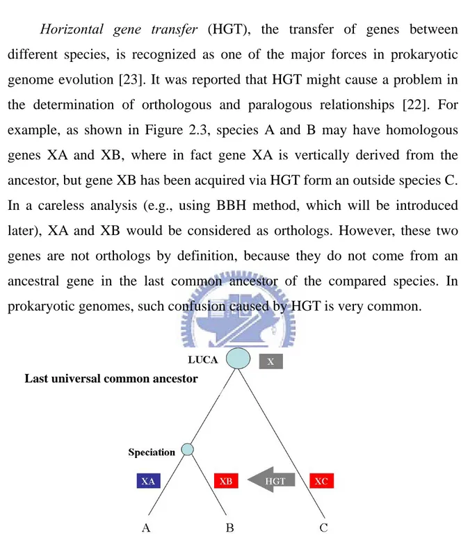 Figure 2.3: Effect of HGT on orthology. Gene XB in species B is acquired  by HGT from gene XC in species C
