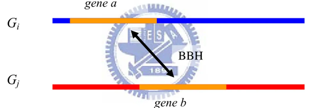 Figure 2.4: Gene a in genome G i  and gene b in genome G j  form a BBH, if  gene a is the most similar to gene b than any other gene in genome G j , and  vice versa