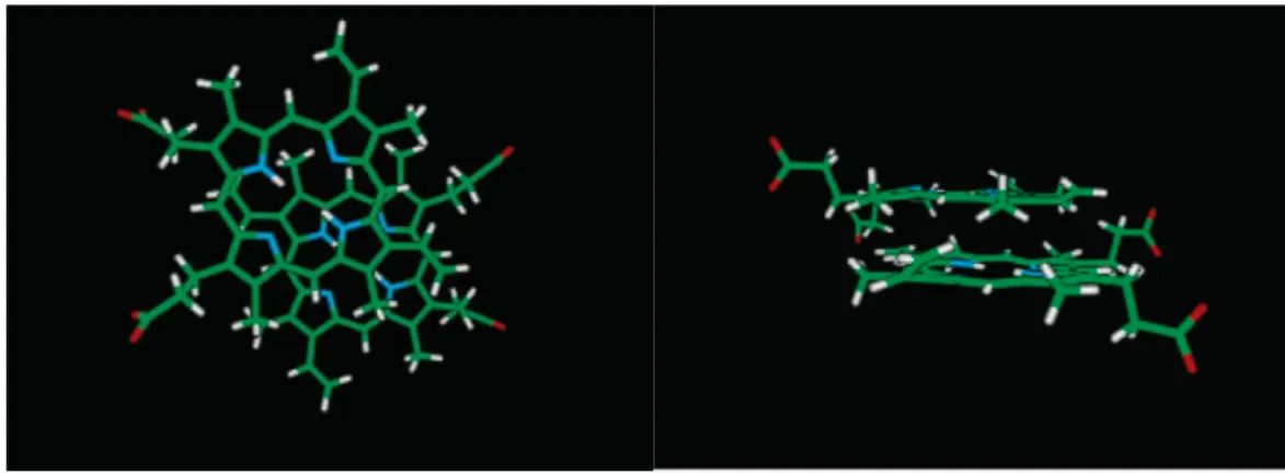 Figure 1-9 The molecular model of the H-aggregate at pH 12 23 . 