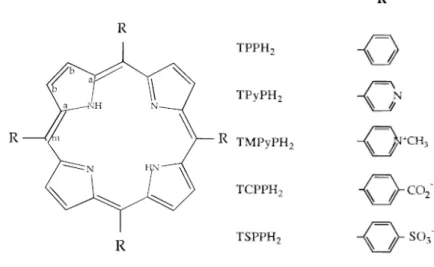 Figure 1-10 The structure of tetraary-substituted porphyrins 24 .  