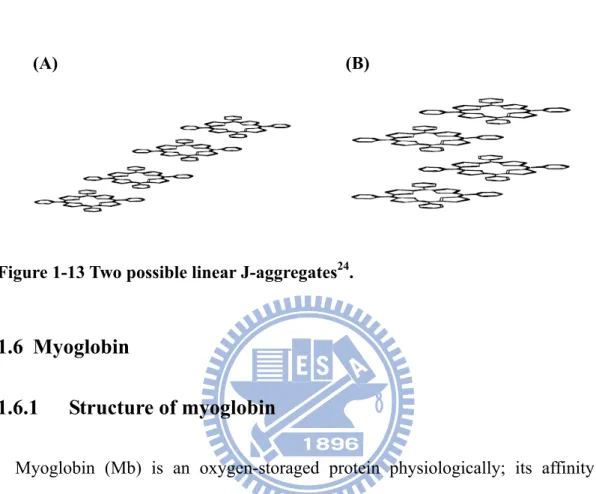 Figure 1-13 Two possible linear J-aggregates 24 . 