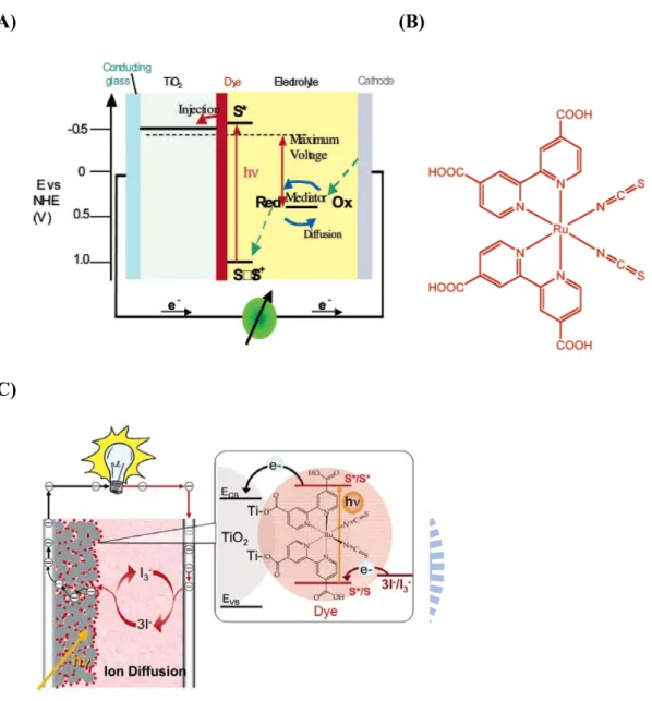 Figure 1-20 (A) A schematic presentation of the operating principles of the  dye-sensitized solar cell (DSSC)