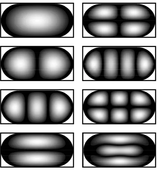 Fig. 2.3-3. First eight eigenstates of the stadium billiard. The result is similar to  rectangular billiard