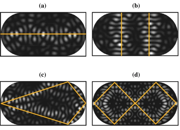 Fig. 2.3-7. (a)-(d)  The scars appear in the 122nd, 132nd, 207th, and 258th  exited states of the slightly asymmetric stadium billiard