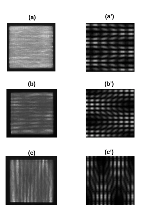 Fig. 3.3-4. (a)-(c) The bouncing ball modes observed in different square  VCSEL devices