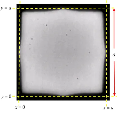 Fig. 3.4-1. Experimental pattern of the spontaneous emission to manifest the  details on the ripple boundary