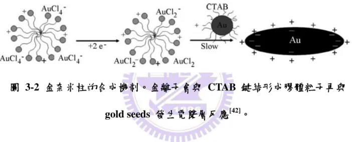 圖  3-2  金奈米柱的合成機制。金離子會與  CTAB  鍵結形成膠體粒子再與  gold seeds  發生電雙層反應 [42] 。 