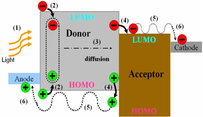 Figure 1.3 The schematic description of the working principle of OPVs, which  includes (1) Light absorption, (2) Exciton generation, (3) Exciton diffusion, (4)  Exciton dissociation, (5) Charge transport, and (6) Charge collection