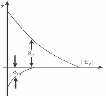 Figure 2.2 Surface plasmon wave is an evanescent wave in parallel and perpendicular  direction [4]