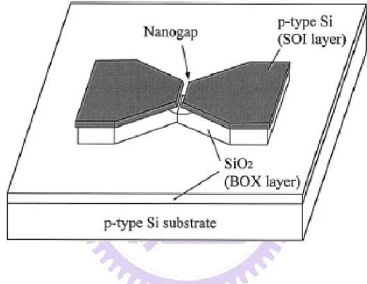 Fig. 1-9 The schematic of small gap produced by e-beam lithography. [1.34] 